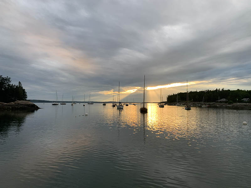 Photograph by Kate Holden