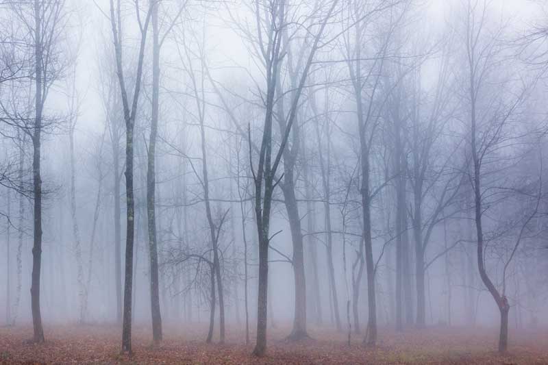 Photographs by Ed Kenney