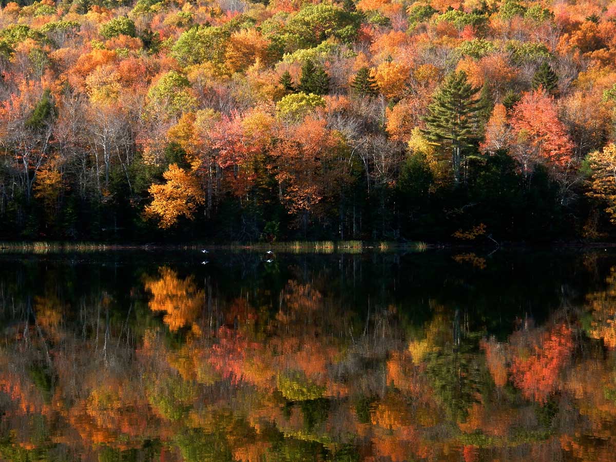 Photograph by Judy Berk