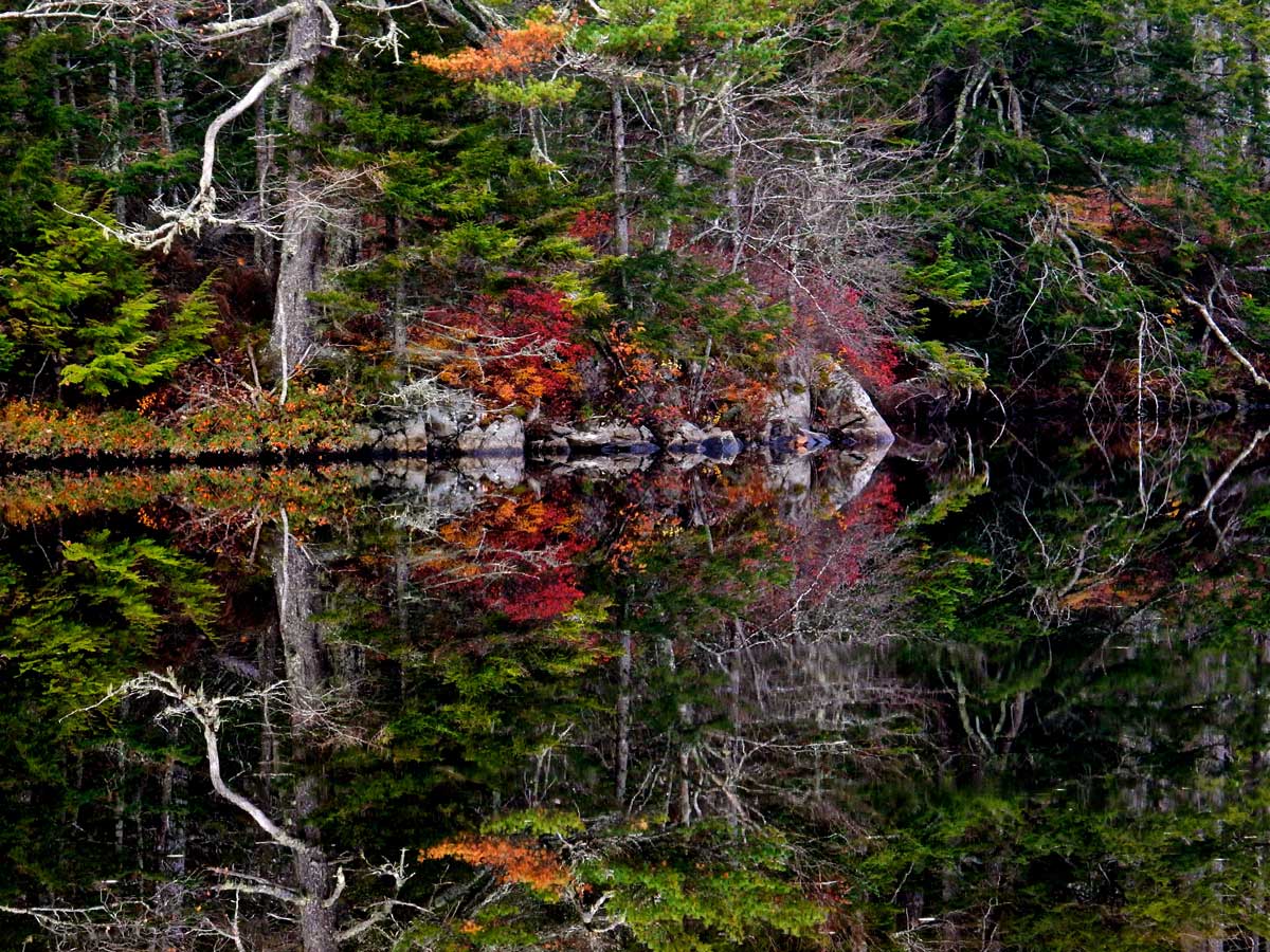 Photograph by Judy Berk