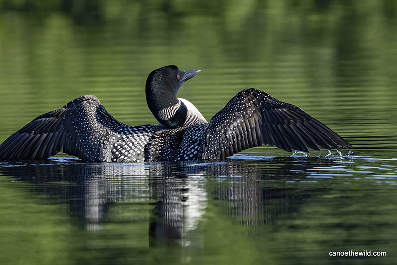 Photographs & text by Dave Conley