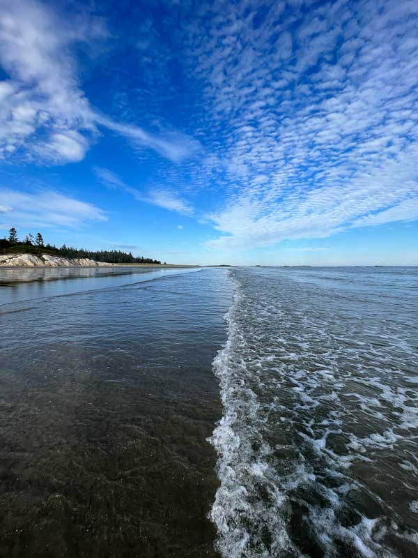 Photograph by Nicolle Littrell