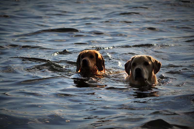 Photograph by Emily McDevitt