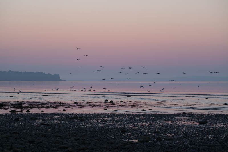 Photograph by Jane Kurko