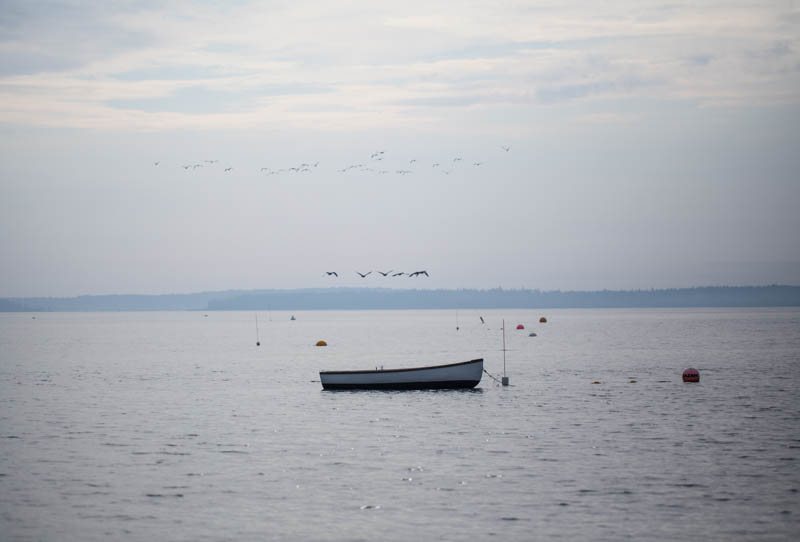 Photograph by Jane Kurko
