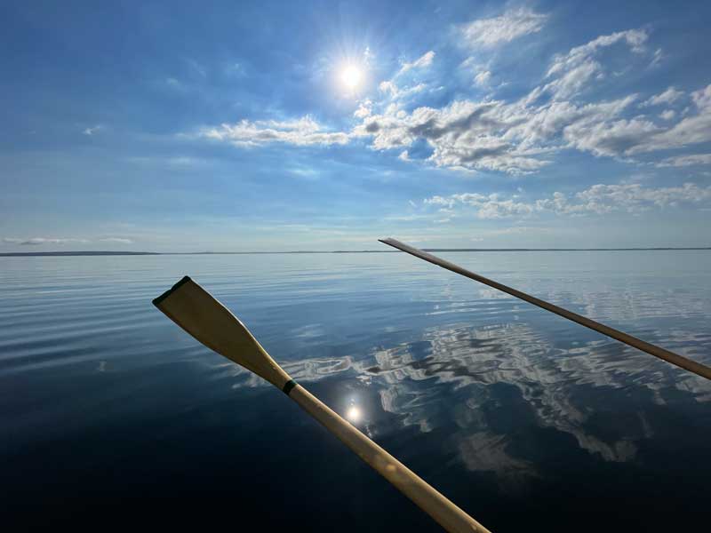 Photograph by Nicolle Littrell