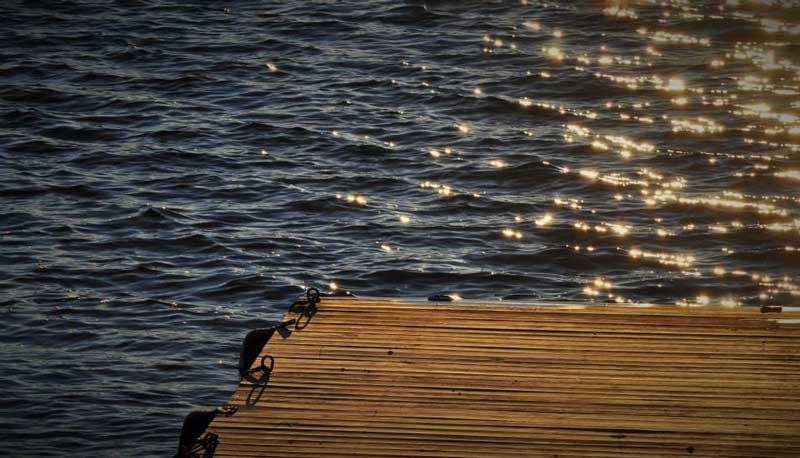 Photograph by Emily McDevitt
