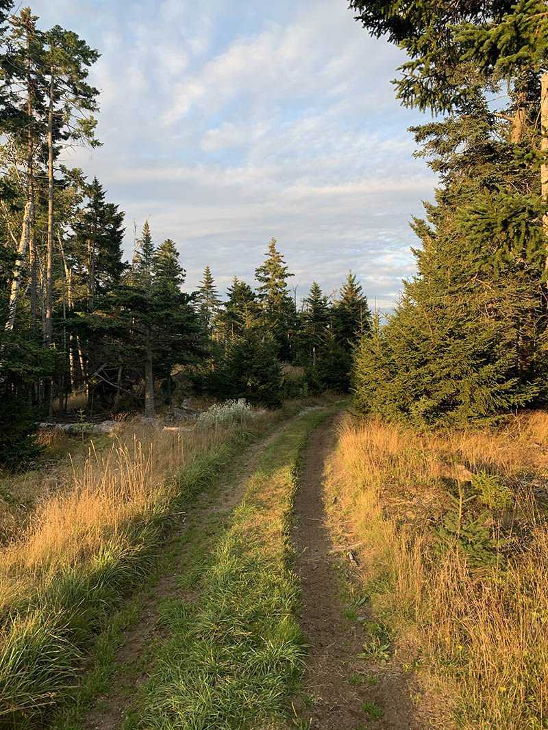 Photograph by Kate Holden