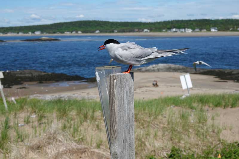 Photos by Stacey Keefer
