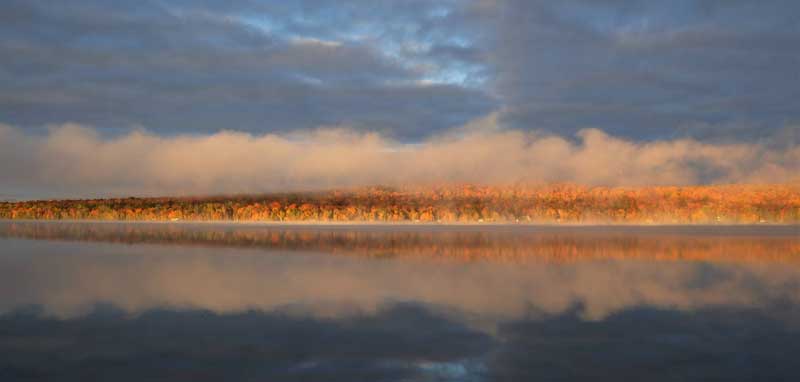Photograph by Emily McDevitt