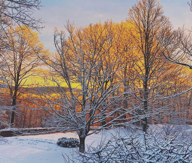 Photograph by Chrisso Rheault