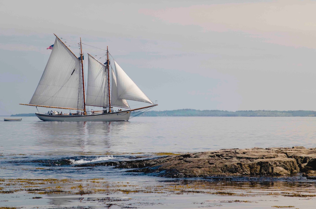 Photograph by Tricia Ladd