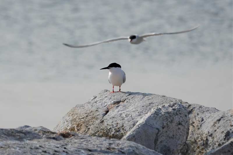 Photos by Stacey Keefer