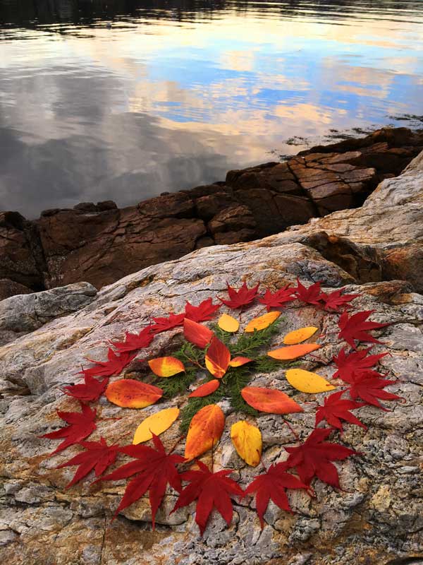 Photo by Jennifer McIntosh