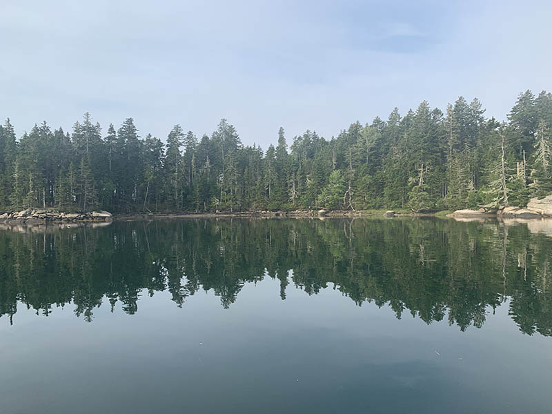 Photograph by Kate Holden