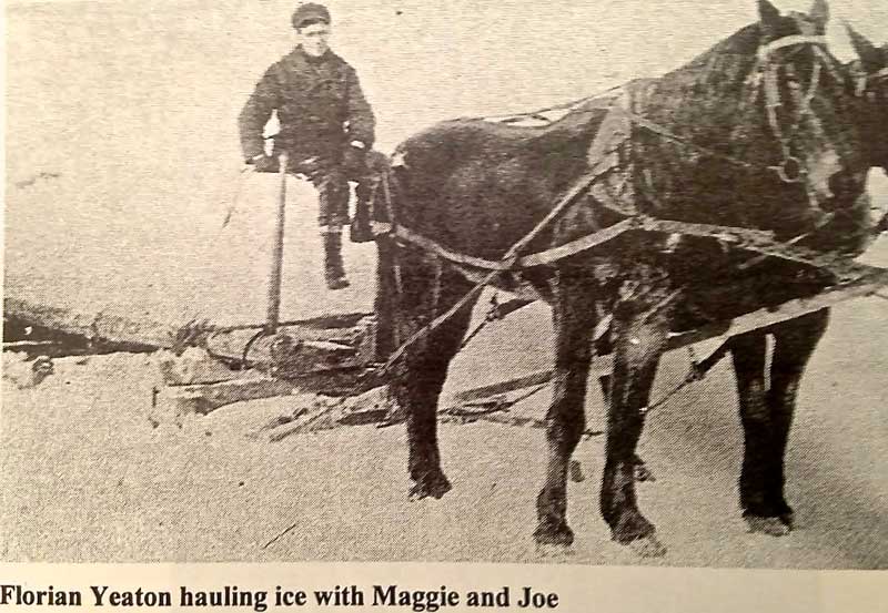 Florian Yeaton hauling Sandy River ice. Photo courtesy of Mercer Historical Society