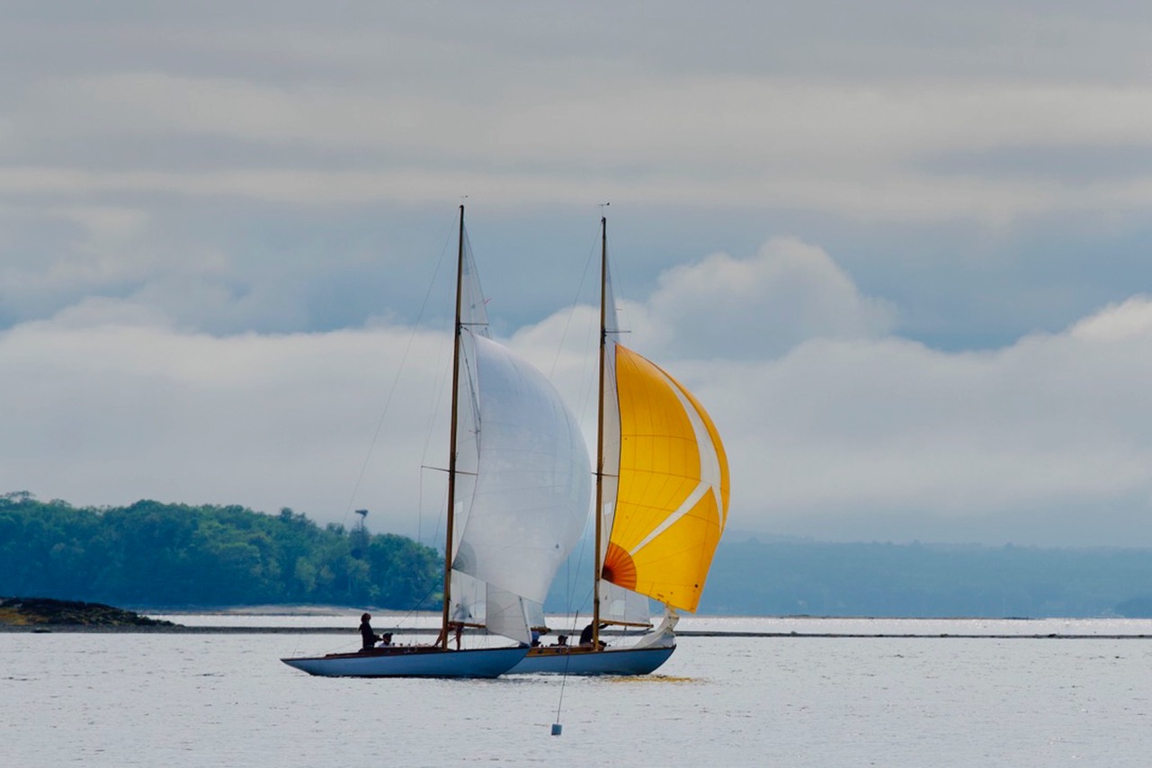Photograph by Tricia Ladd