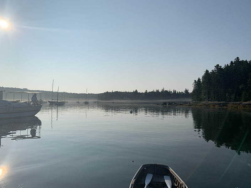 Photograph by Kate Holden