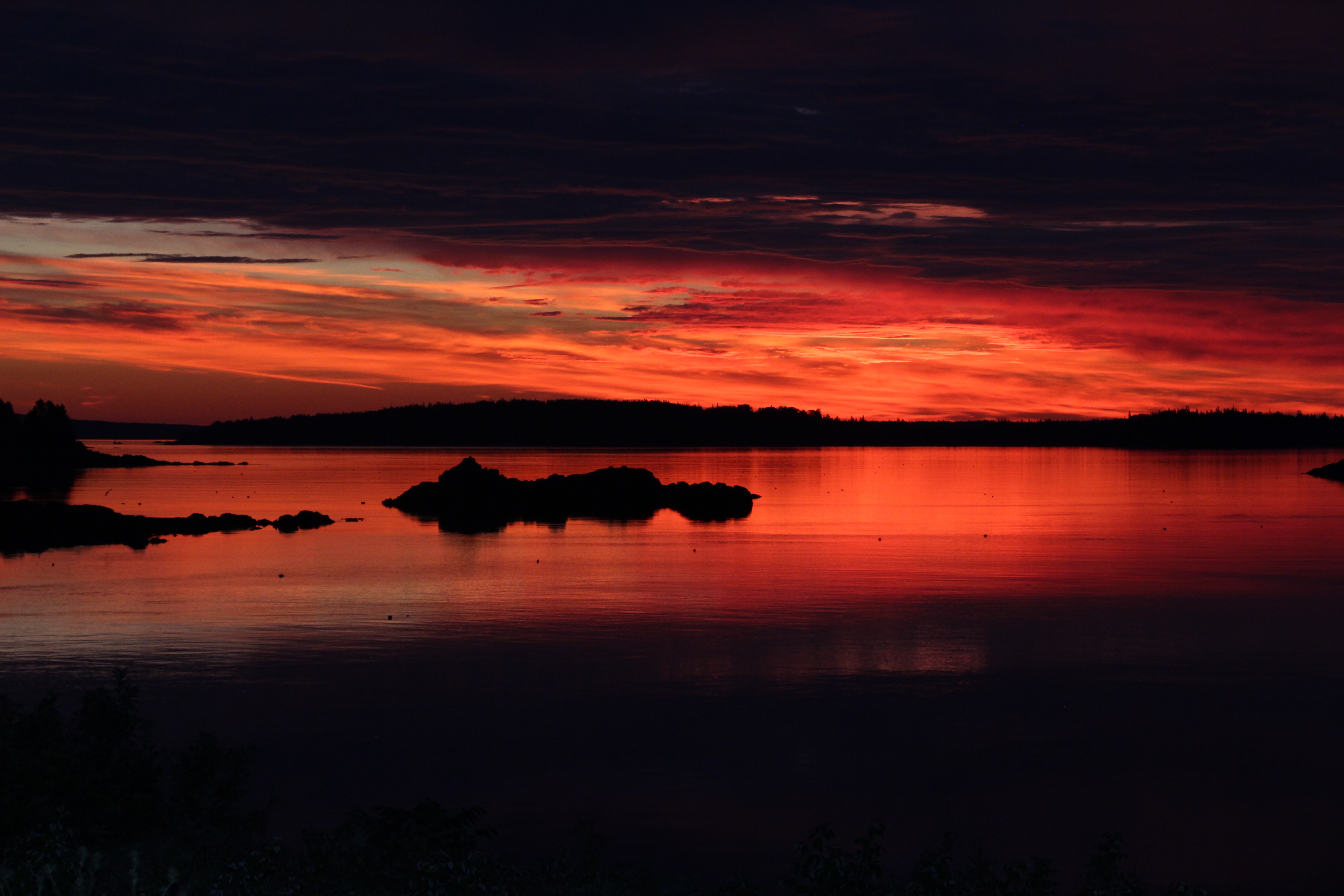 Photograph by Alexander Sanger