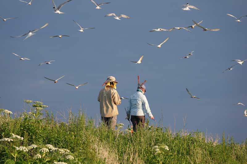 Photos by Stacey Keefer