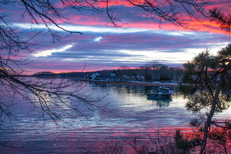 Photograph by Cynthia Fitzmorris