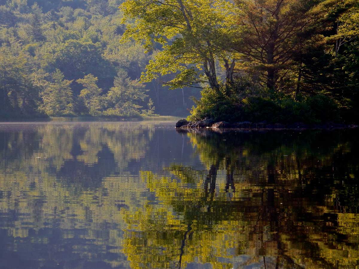Photograph by Judy Berk