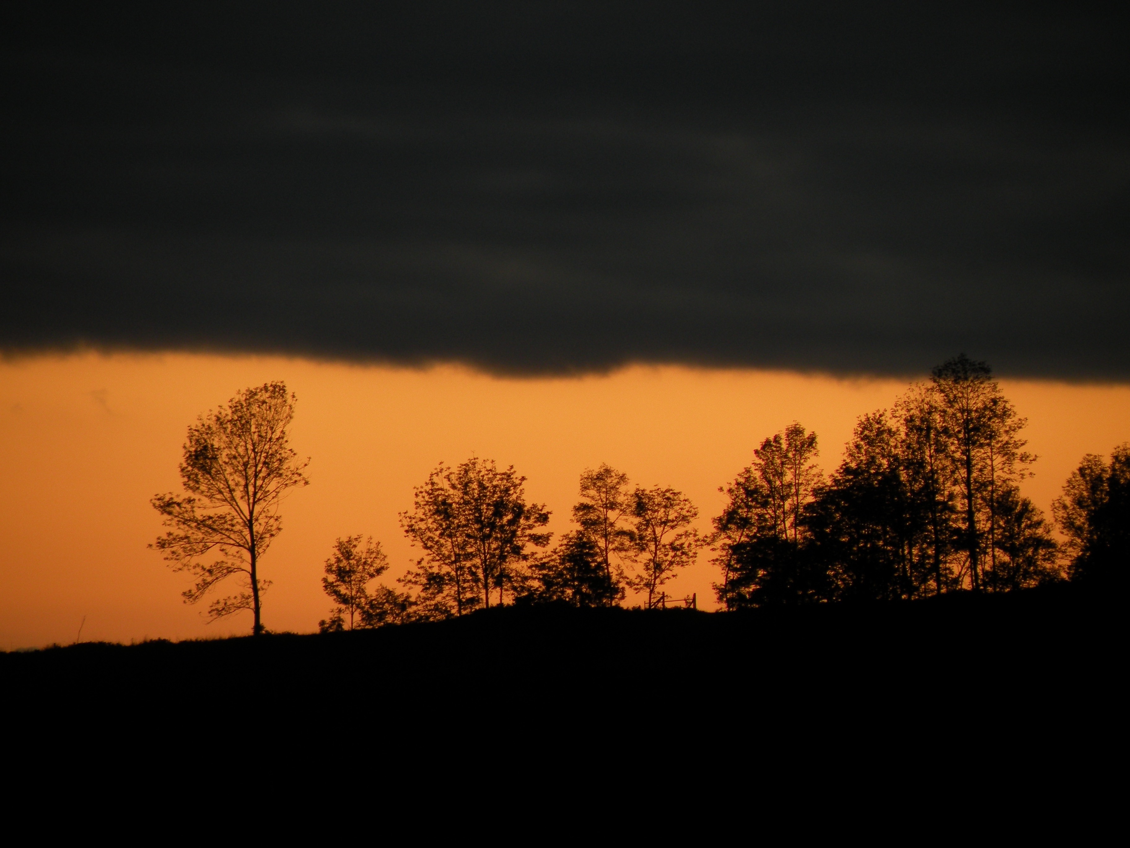 Photograph by Alexander Sanger