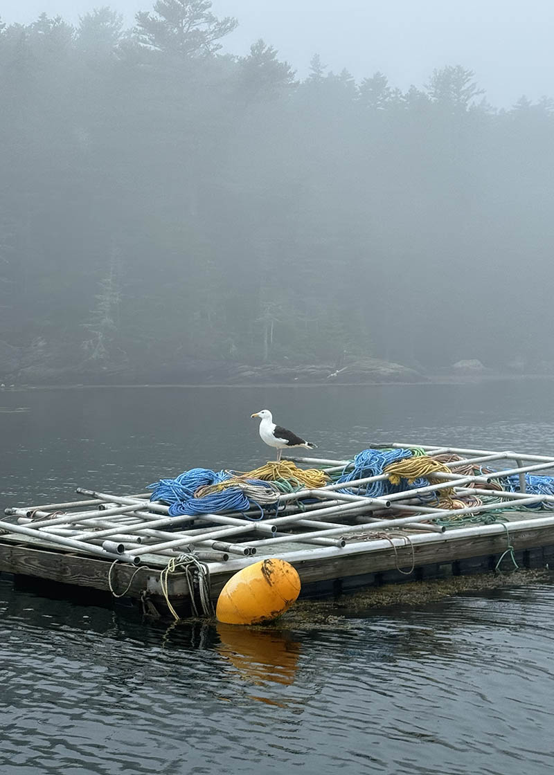 Photograph by Nancy L.H. Barba