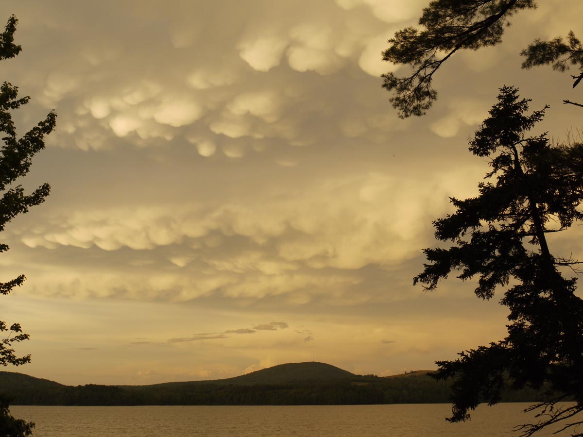 Photograph by Kit Aroneau