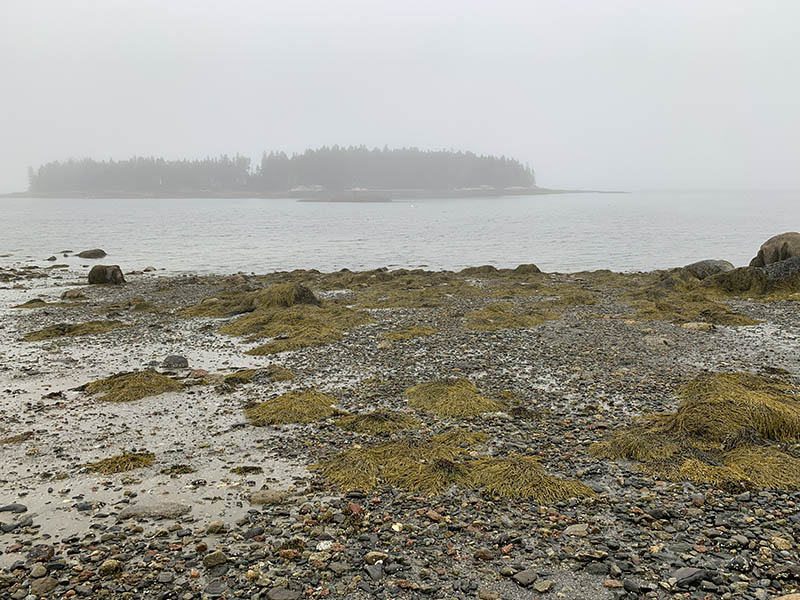 Photograph by Kate Holden