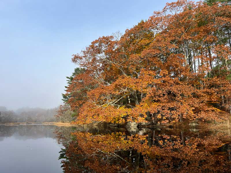 Photograph by Nicolle Littrell
