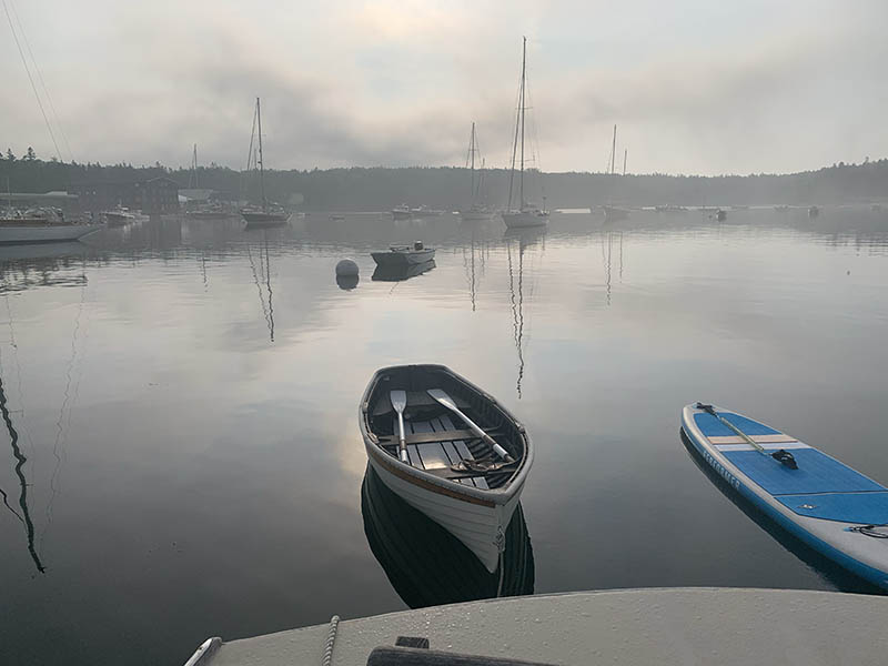 Photograph by Kate Holden