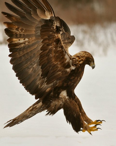 Photograph by Don Dunbar