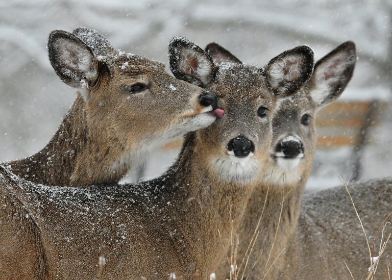 Photograph by Don Dunbar