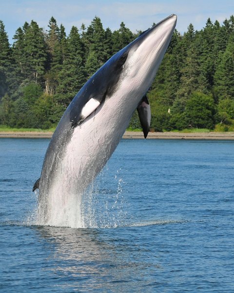 Photograph by Don Dunbar