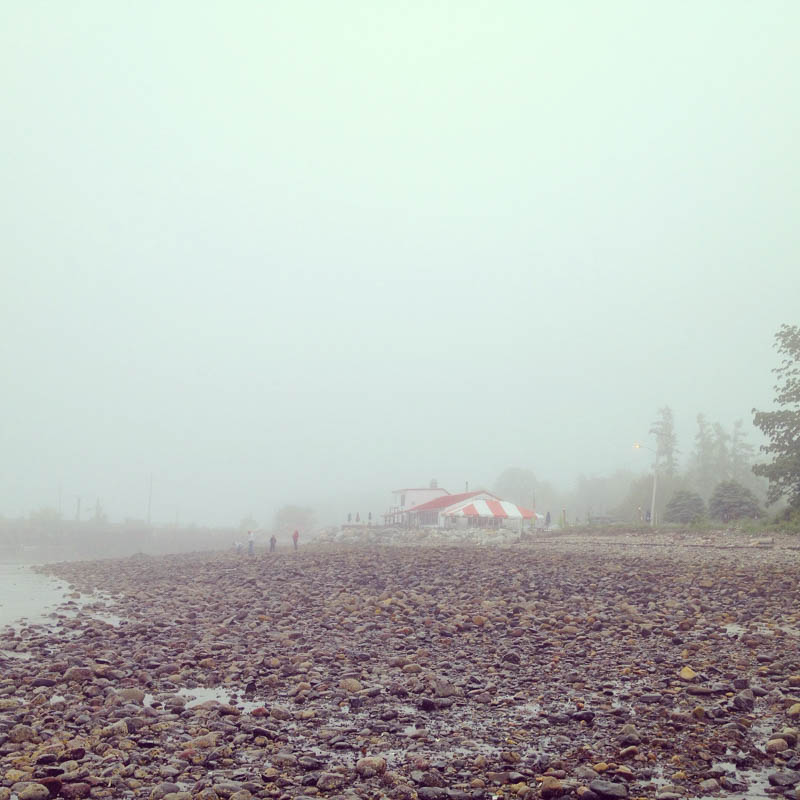 Photograph by Jane Kurko