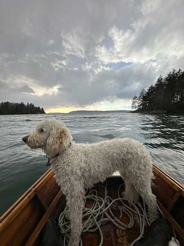 Photograph by Chrisso Rheault
