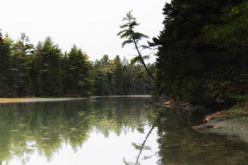 Photograph by Susan Metzger