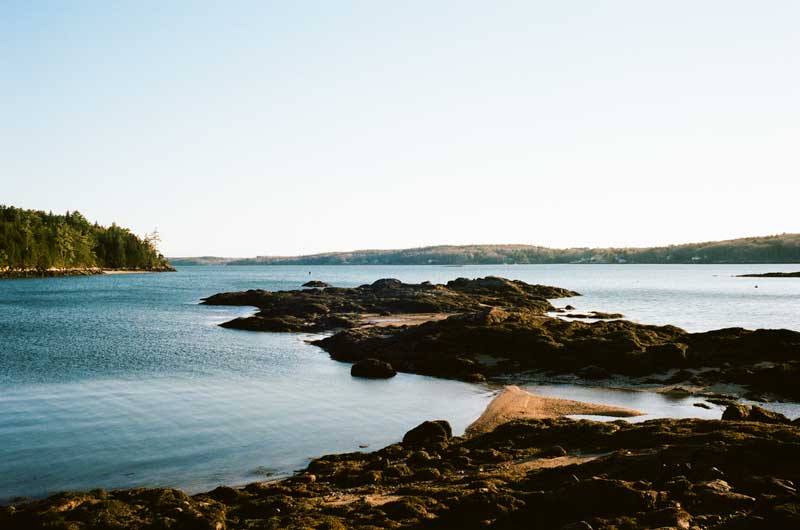 Photograph by Susan Metzger