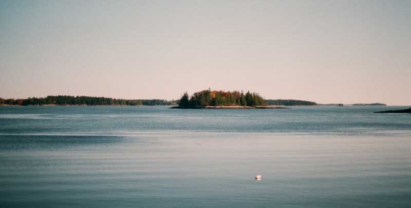 Photograph by Susan Metzger