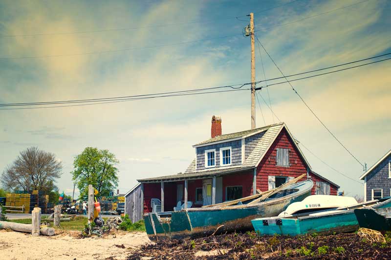 Photograph by Susan Metzger