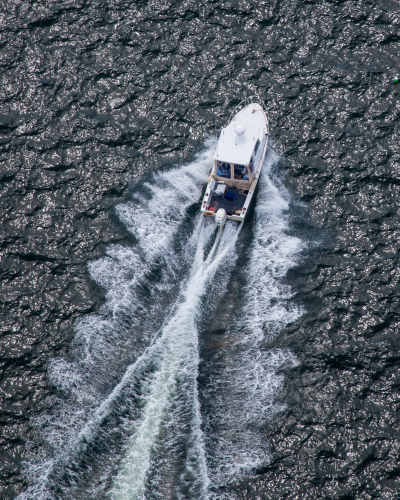Photographs by Dave Cleaveland