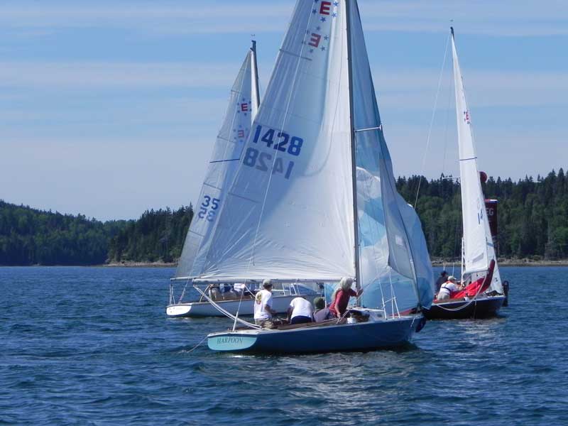 The Buck’s Harbor Ensign Fleet. Photos courtesy club members.