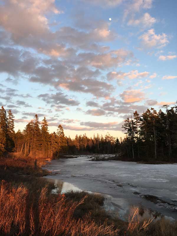 Photograph by Martha Andrews Donovan