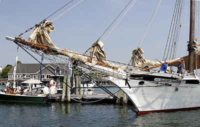 Elegant Boats